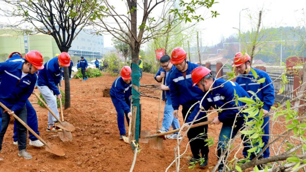 中国·tyc1286太阳成集团(股份)有限公司-官方网站