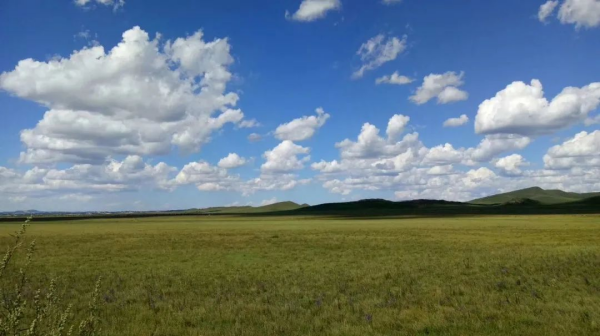 中国·tyc1286太阳成集团(股份)有限公司-官方网站