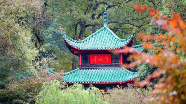 中国·tyc1286太阳成集团(股份)有限公司-官方网站