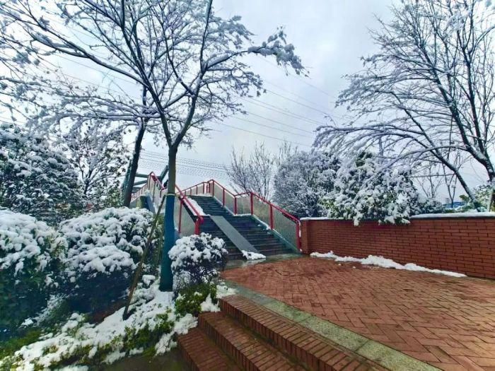 中国·tyc1286太阳成集团(股份)有限公司-官方网站