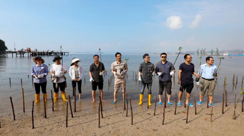 中国·tyc1286太阳成集团(股份)有限公司-官方网站