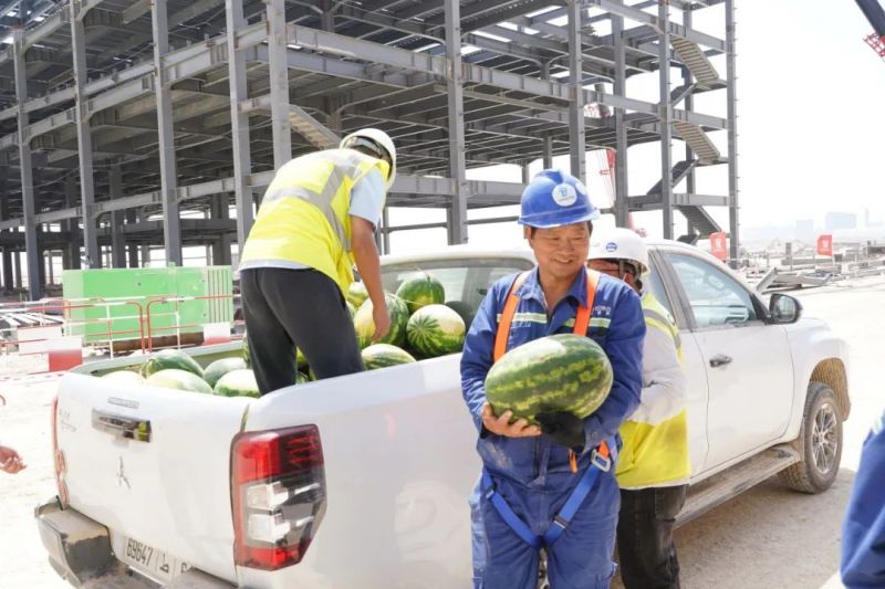 中国·tyc1286太阳成集团(股份)有限公司-官方网站