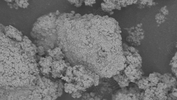 中国·tyc1286太阳成集团(股份)有限公司-官方网站