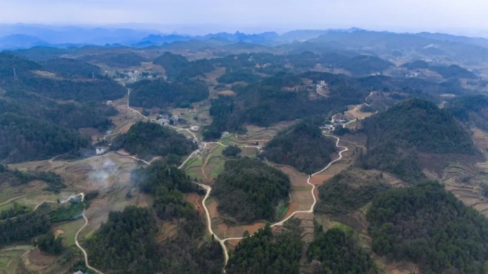 中国·tyc1286太阳成集团(股份)有限公司-官方网站