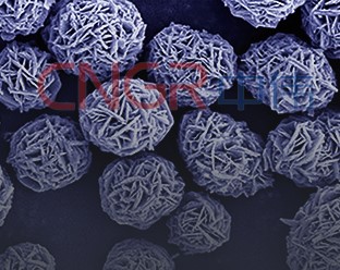 741a0853-aec1-4a83-b5cd-fdcd4fce3957