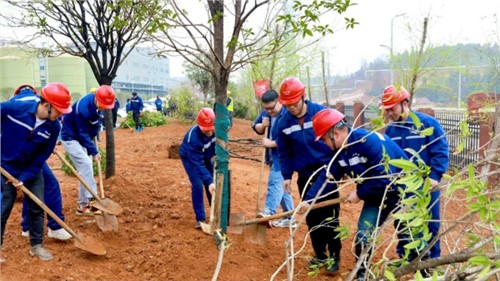 这个植树节，共植一抹青绿，向着绿色将来启程！