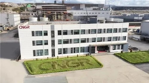 太阳集团tyc1286股份中青与德国项目通过RMI ESG审核